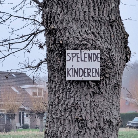 Voorbeeldfoto van de fotopuzzel met het volledige woord zichtbaar